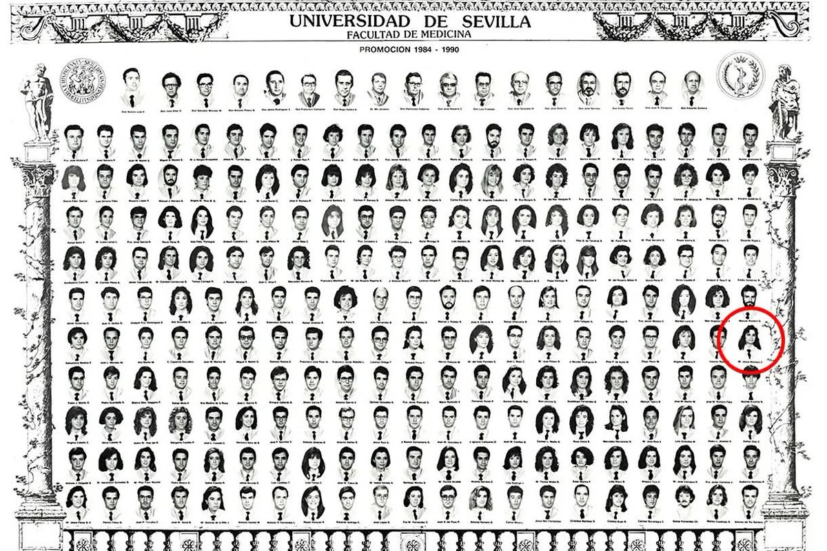 Pietro di Torrigiano tweet media