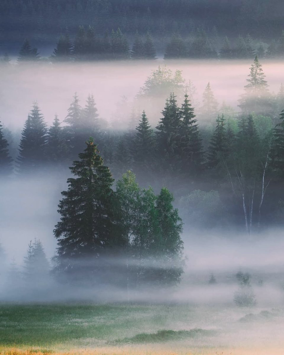 Gentle everyday awareness cultivates gentle, purposeful, tranquil routines.