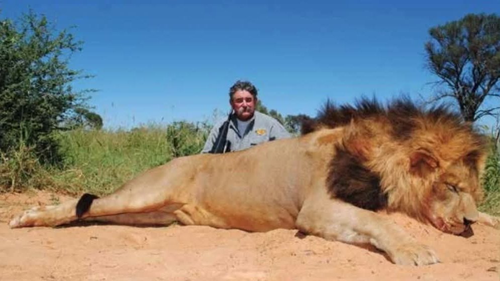 Colombia Oscura tweet media