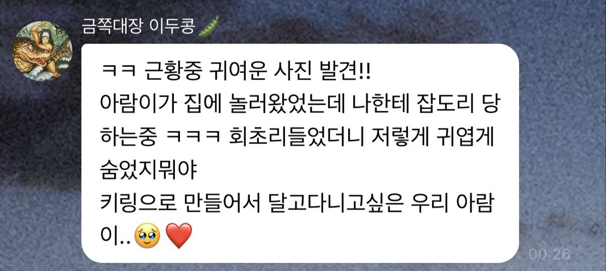 해콩대장을 위하여 tweet media