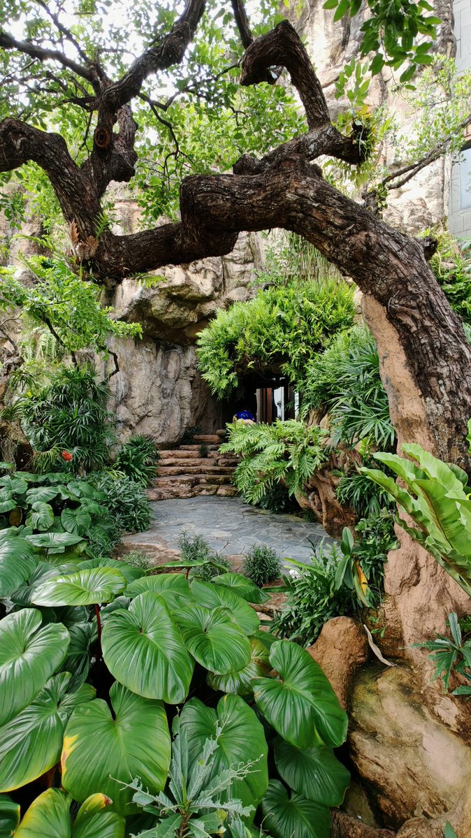 IshanWankhade's tweet image. Photography ft. Thailand ✨

6/n
#ShotOnSnapdragon