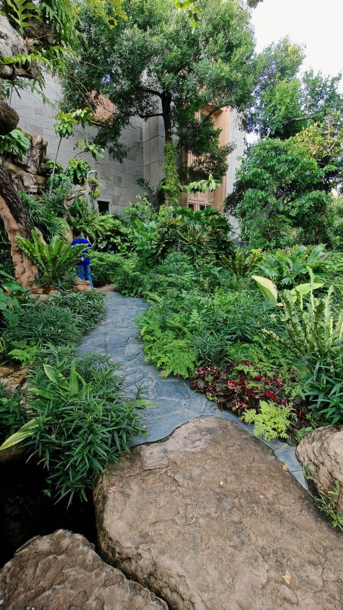 IshanWankhade's tweet image. Photography ft. Thailand ✨

6/n
#ShotOnSnapdragon