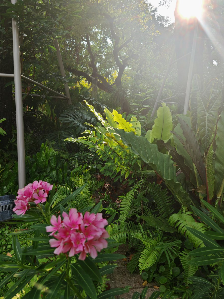 IshanWankhade's tweet image. Photography ft. Thailand ✨

7/n
#ShotOnSnapdragon