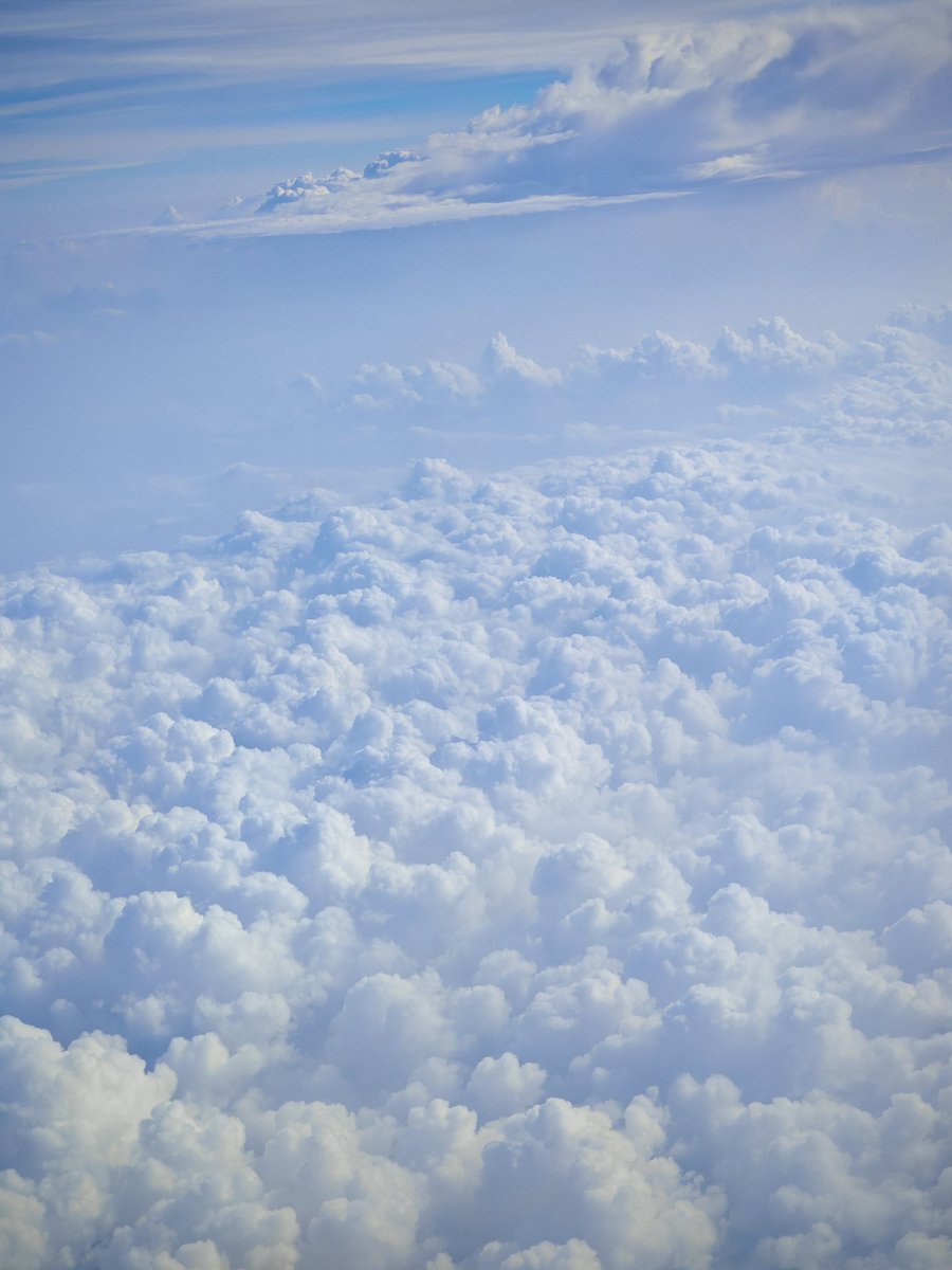 IshanWankhade's tweet image. Photography ft. Thailand ✨

9/n
#ShotOnSnapdragon