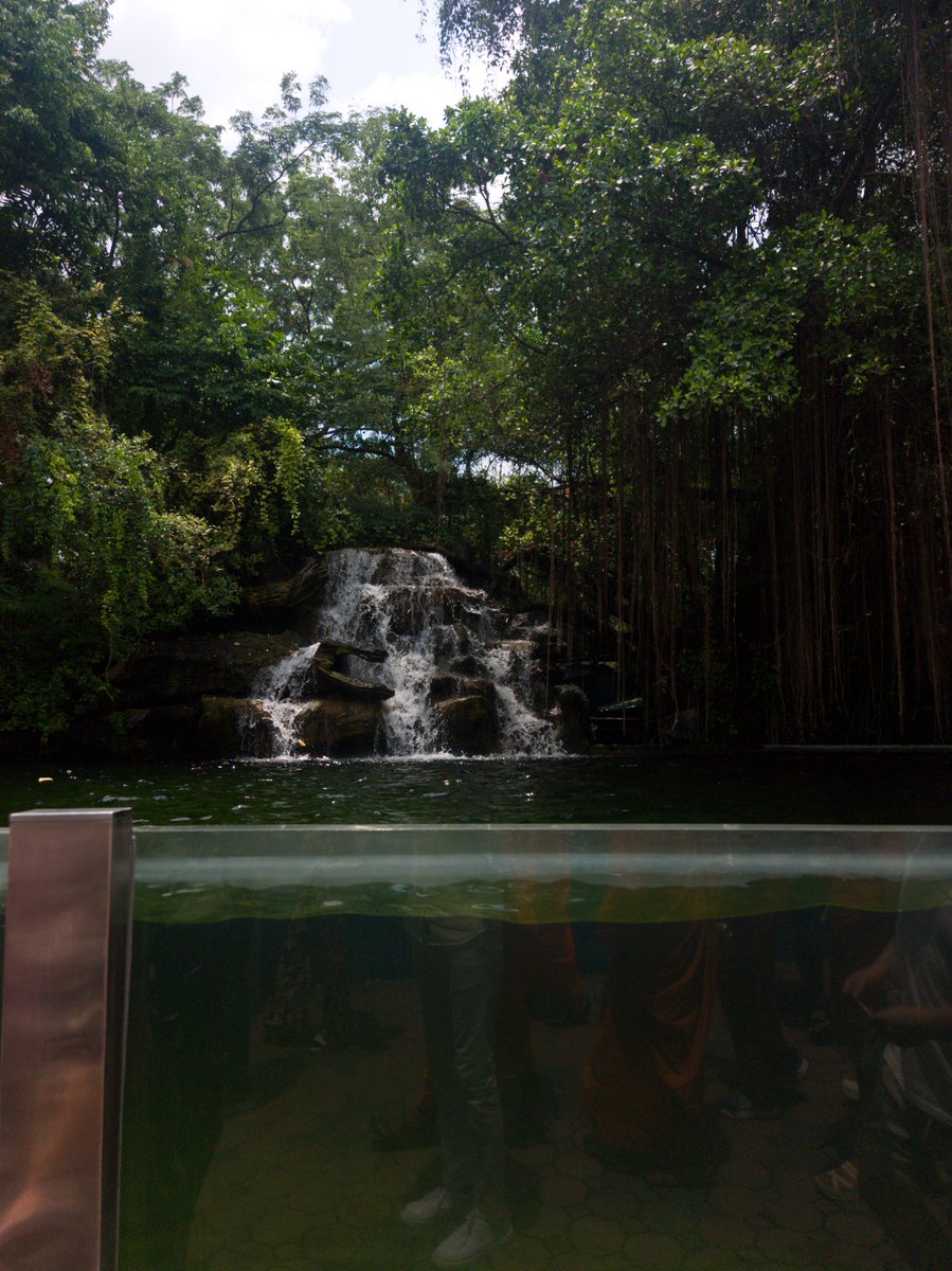 IshanWankhade's tweet image. Photography ft. Thailand ✨

9/n
#ShotOnSnapdragon