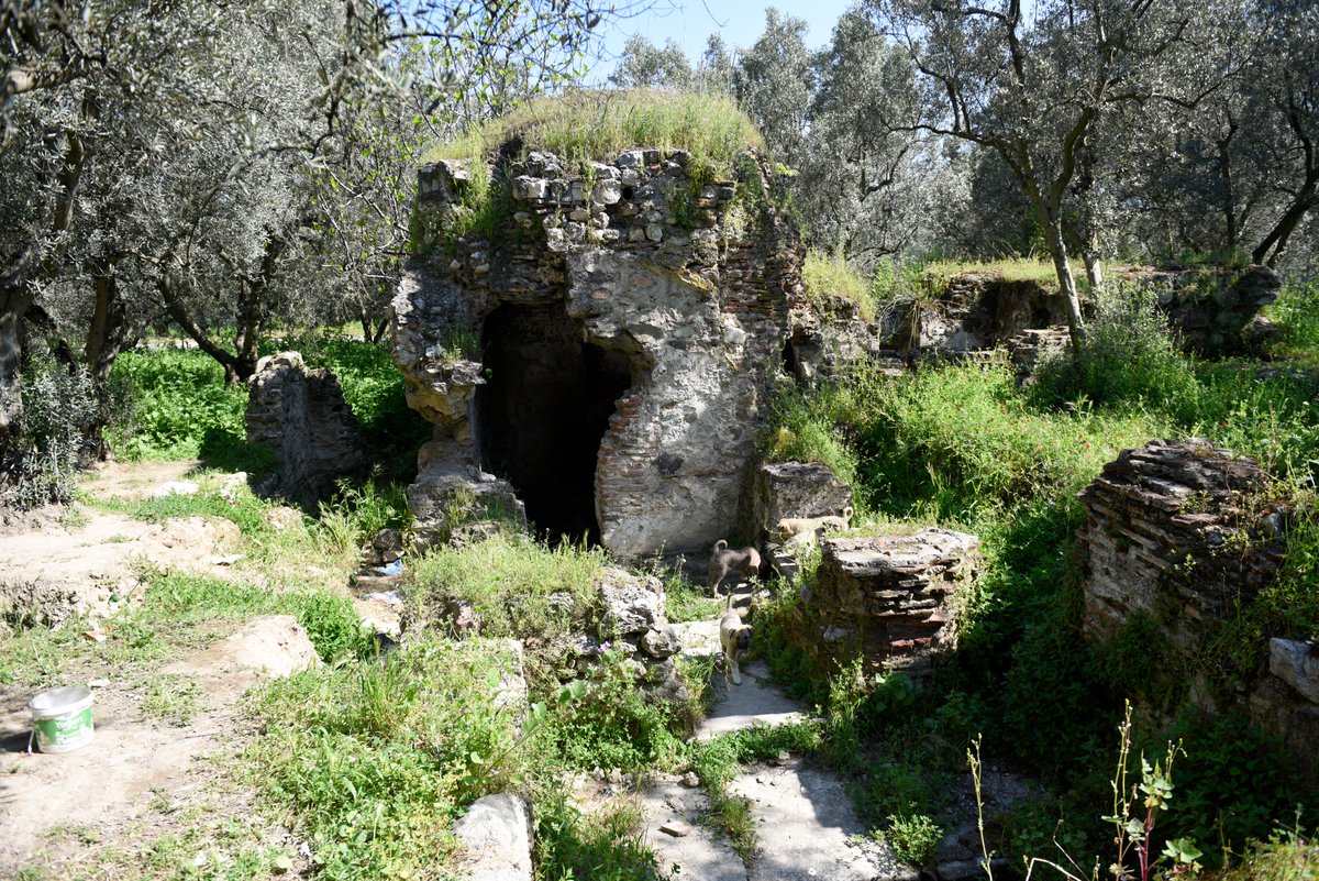 dhendrixe's tweet photo. Ruins of hamam with ship graffito outside the city wall of Iznik
Photos from recent visit https://t.co/9NfHGOORqm
