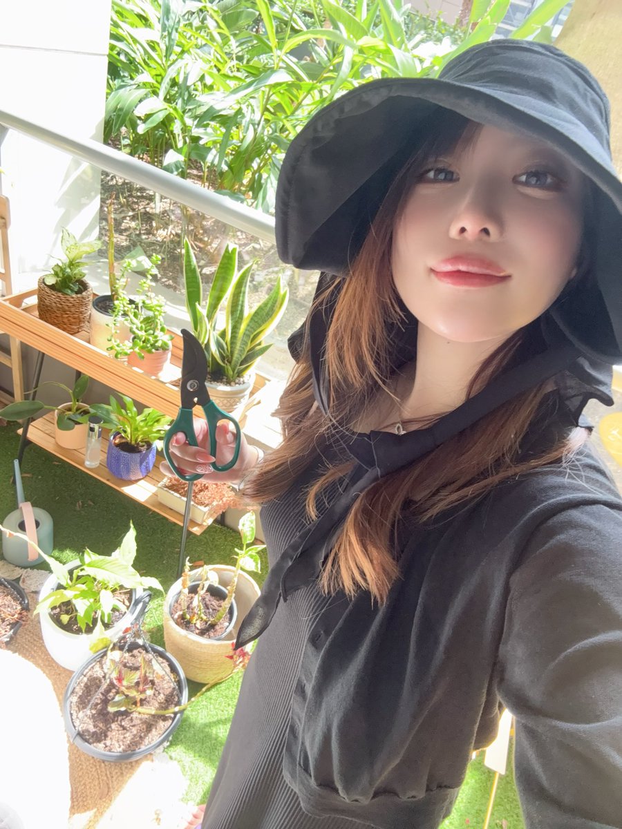 ナタリー🎀なちゃん🦍✨ tweet media