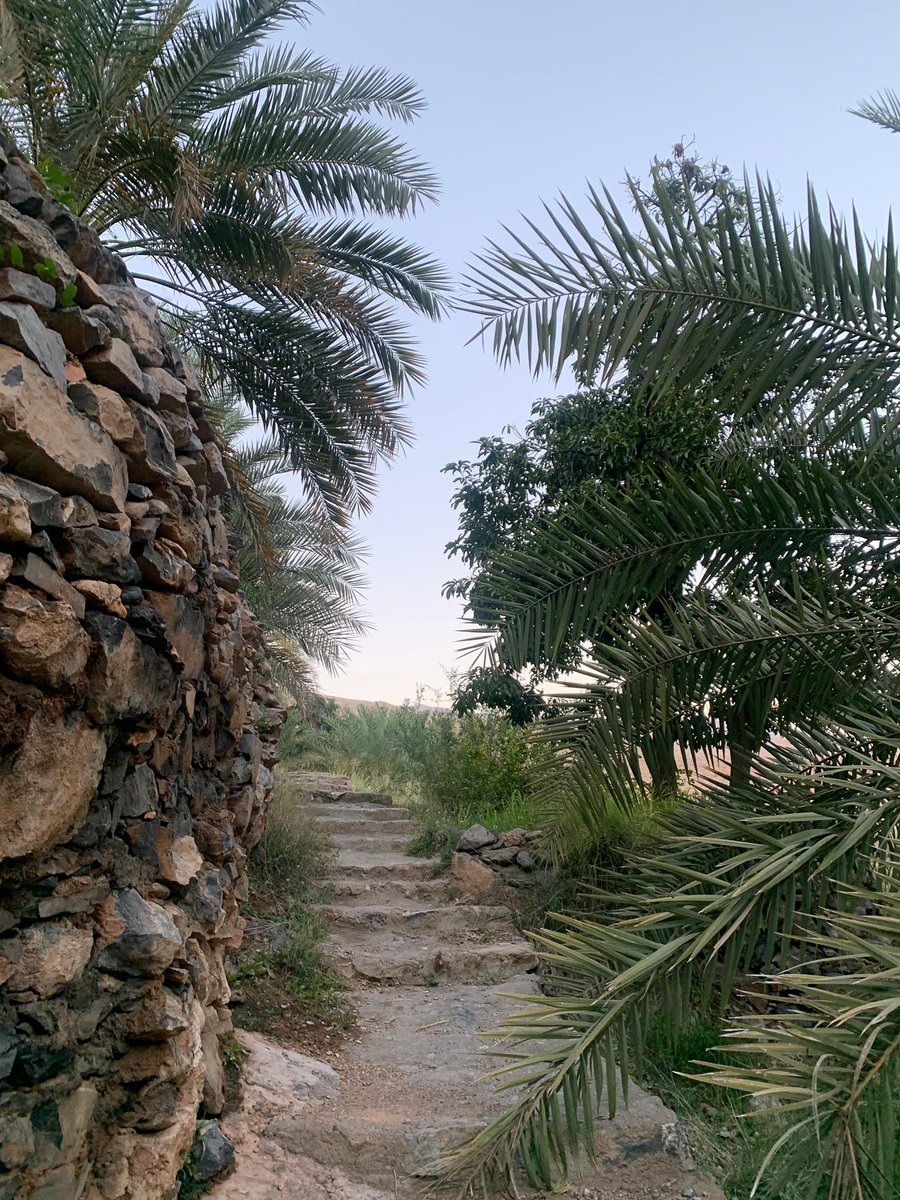 AfnanGh93's tweet photo. رحلات تنفس قربت🤍✨
رحلتنا القادمة للنساء قربت جدًا! 
٢٠-٢٣ مايو في عمان مسقط
جلسات علاج جماعي وسط الطب��عة..بانتظاركم🤍
@Tanafs_th
 للتسجيل:
https://t.co/kKPTuAfLAa https://t.co/0um6MkxJHk