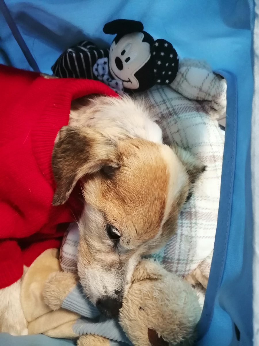 Maria Anna Fundacja Zdążyć do domu tweet media