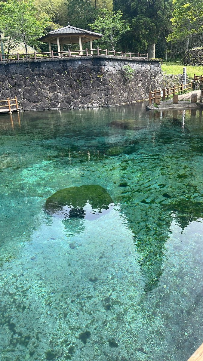 tks6789's tweet photo. 久々のおしゃべりとっっっても楽しかった、
忘れないでいてくれてありがとう
〜鹿児島旅行の写真を添えて〜 https://t.co/49LHhUOHTF