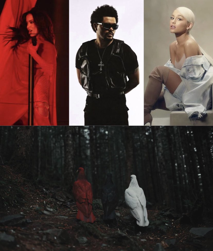 Insider Sedução tweet media