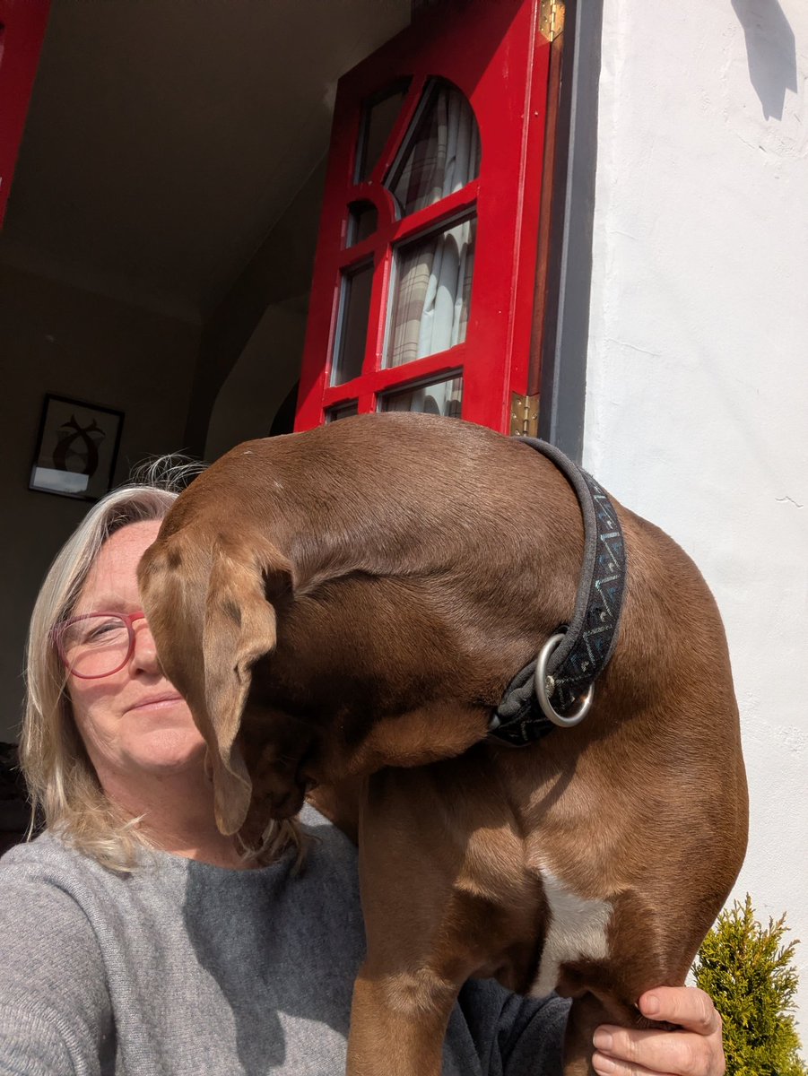 Philippa J Kaye tweet media