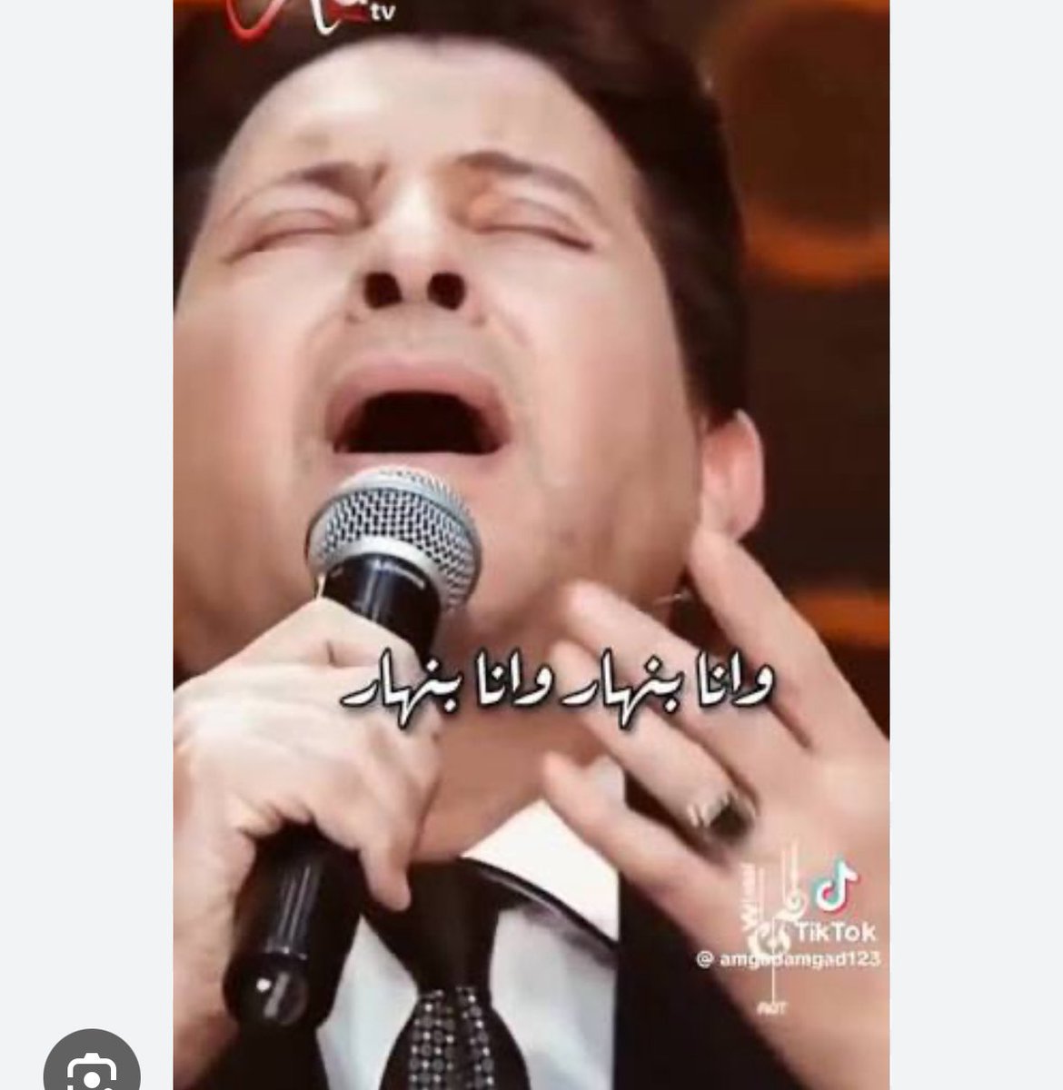 Amal Alharithiأمل الحارثي tweet media