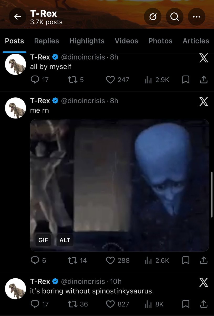 crocodile tweet media