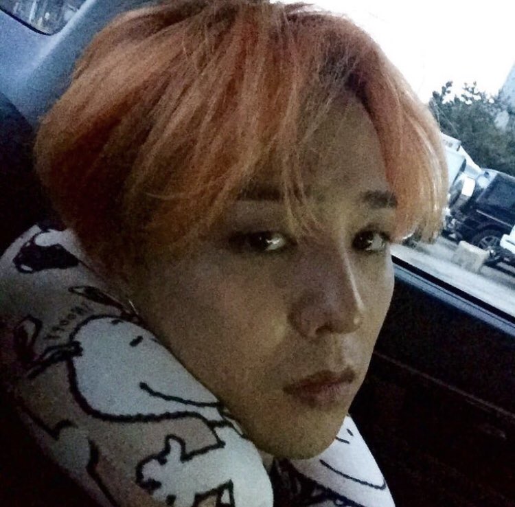 뇽왼 아카이브 tweet media