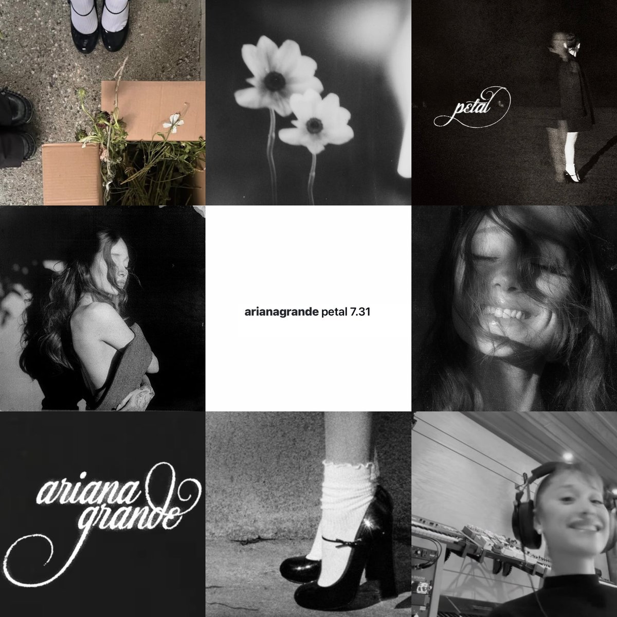 petal by ariana grande