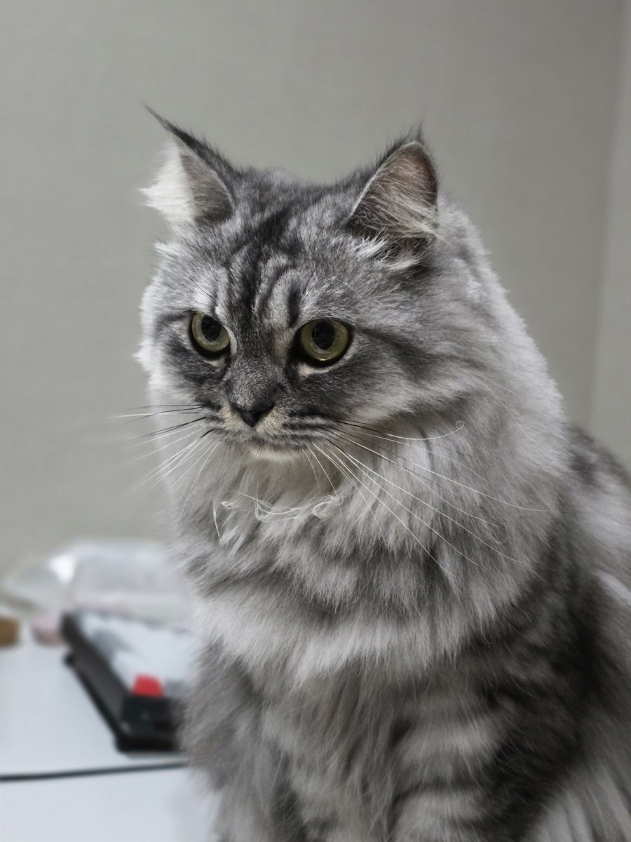 Geegi Eiei tweet media