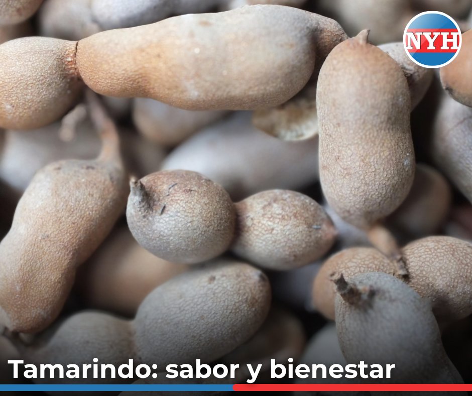 newyorkhispano's tweet image. 🌿 El #tamarindo no es solo sabor: también es salud 💪
Mejora la digestión, aporta antioxidantes y puede ayudar al corazón ❤️
Descubre sus beneficios, cómo consumirlo y sus contraindicaciones 👇
🔗 newyorkhispano.net/tamarindo-sabo…
#BuenaSalud #VidaSaludable #Nutrición #NewYorkHispano