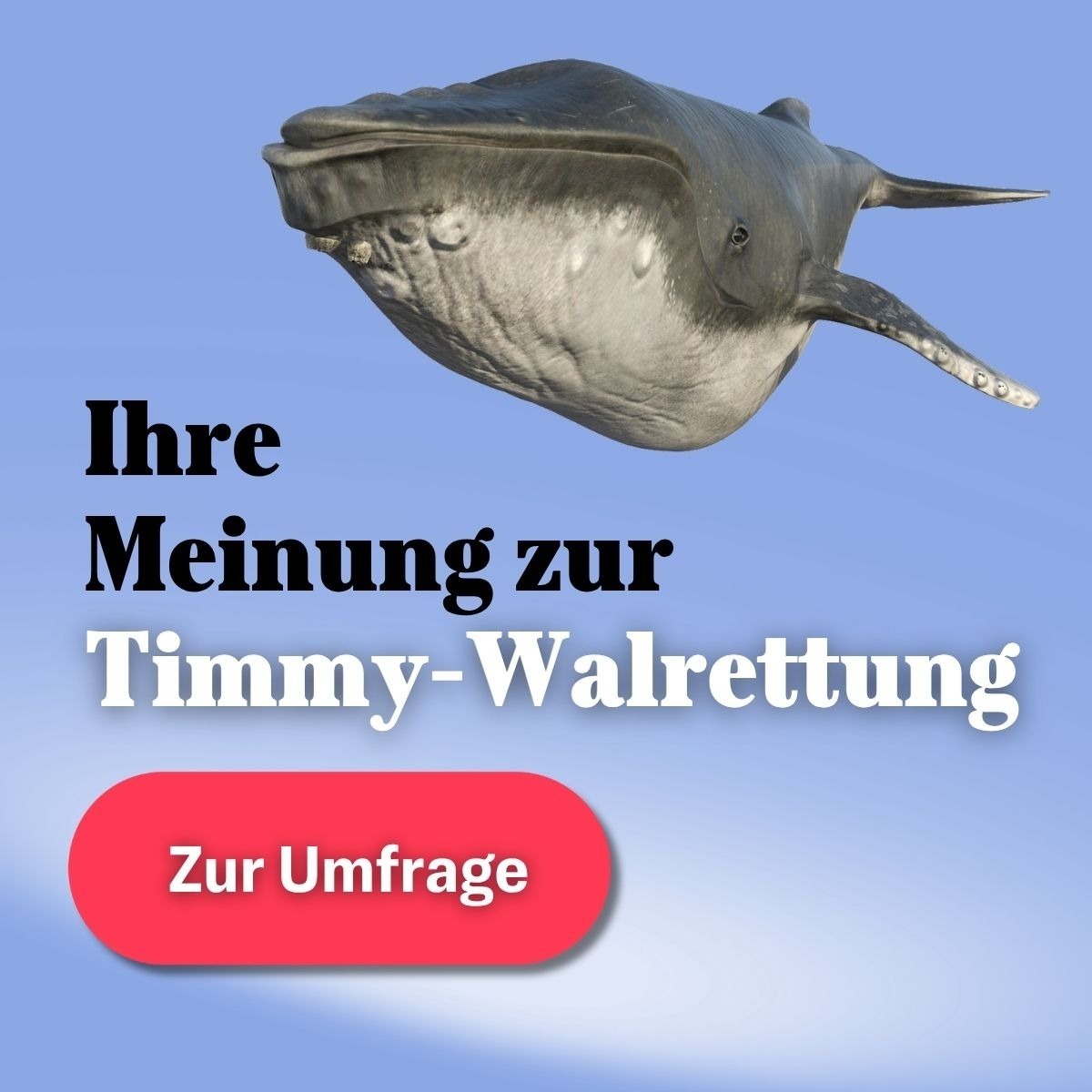 EpochTimesDE's tweet photo. Buckelwal Timmy: Wie findest du die Rettungsaktion?