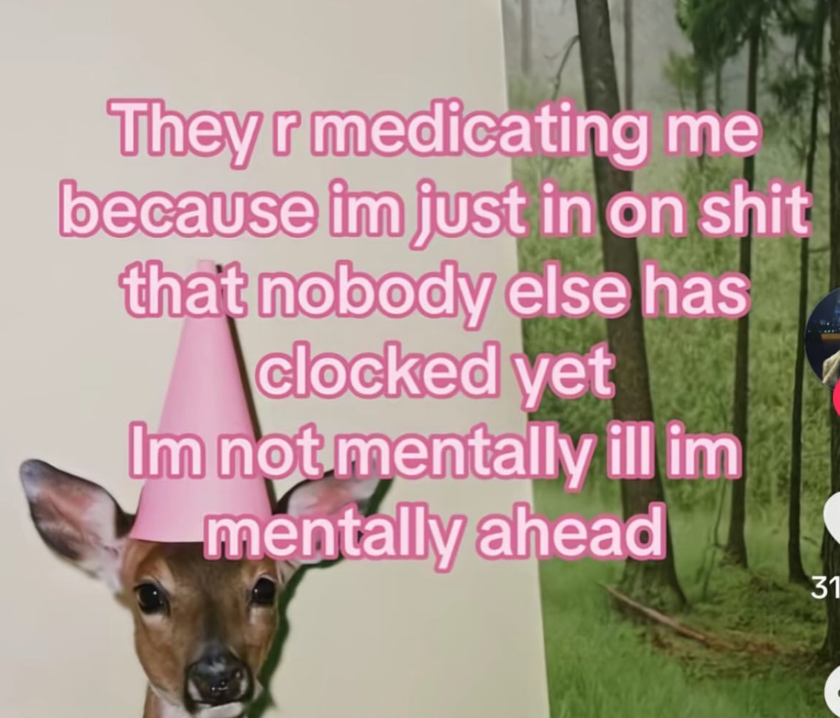 ✧ tweet media