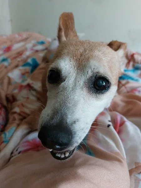 143Sanctuary's tweet image. Please support my journey. #GoFundMe #Throne

gofundme.com/f/a-home-for-g… throne.com/shellzworld/wi…