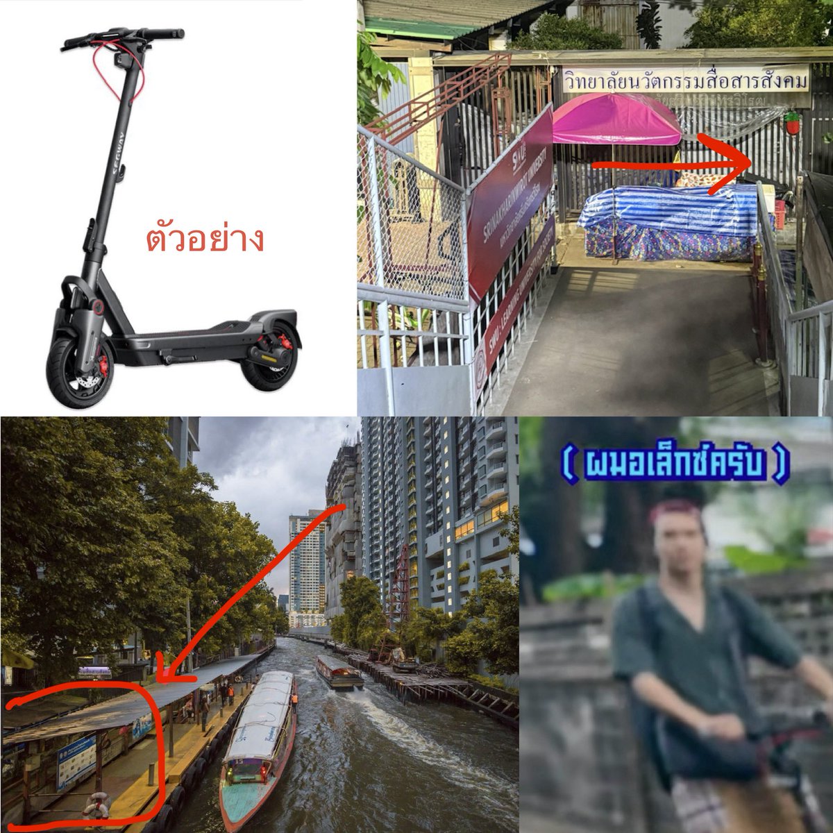 ALWAYS ALEX 🦊 tweet media