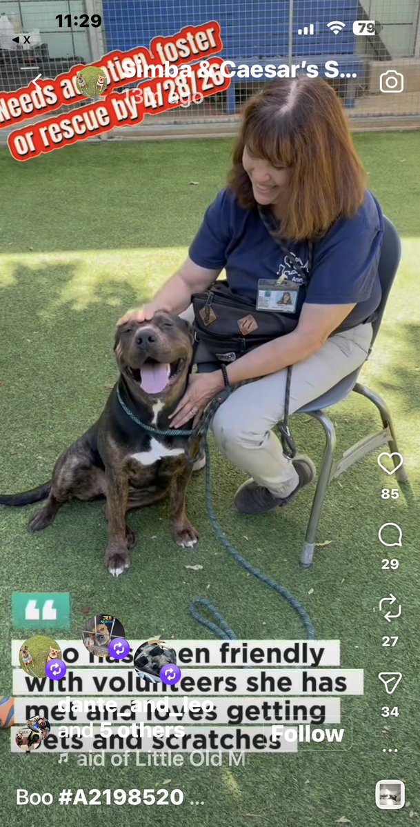 Kristina 🇺🇸❤️🇮🇱 😇🐶🌻📣☮️ tweet media