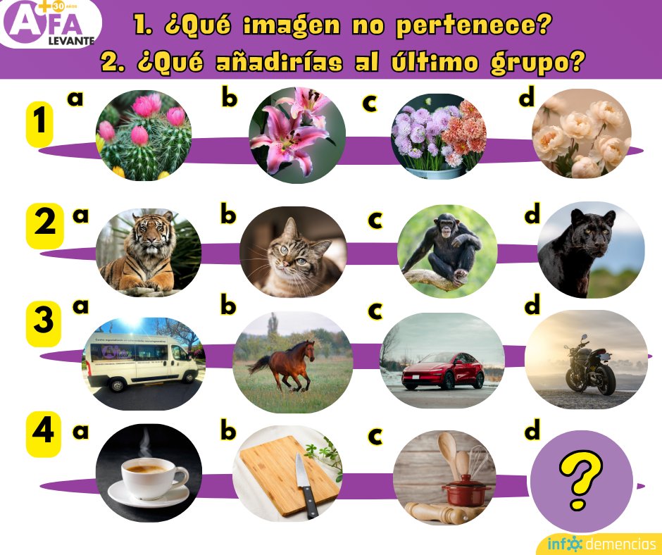 AFA Levante tweet media