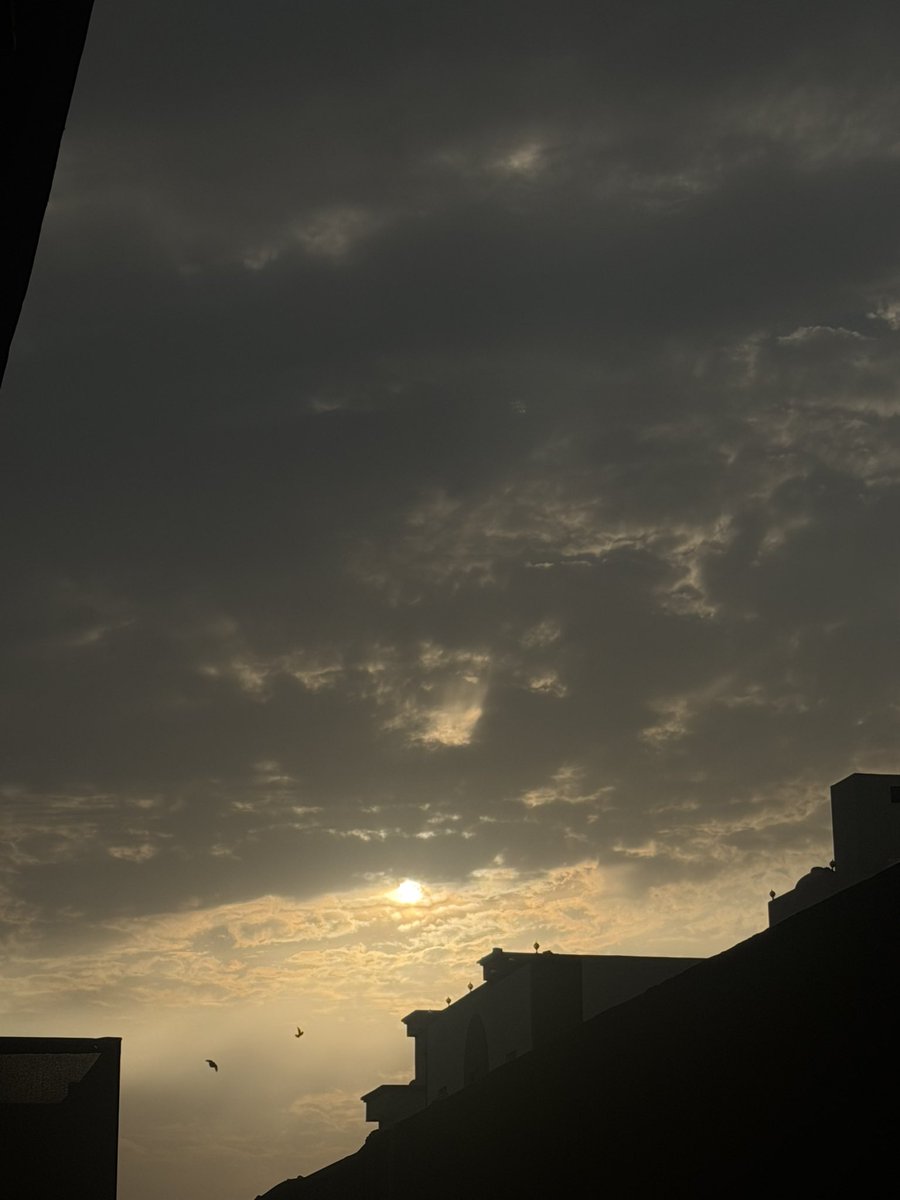 abeeralwafaa tweet media