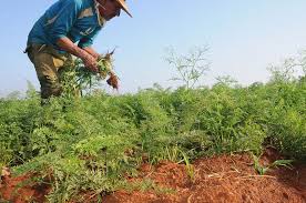 GladysArtemisa's tweet image. “¡[…] el triunfo es de los que se sacrifican y el corazón de los pueblos es de los que osan!”
#JoséMartí 
#LaPatriaSeDefiende 
#ArtemisaJuntosSomosMás 
@Colina_CTCuba 
@DiazCanelB 
@PartidoPCC 
@DrRobertoMOjeda