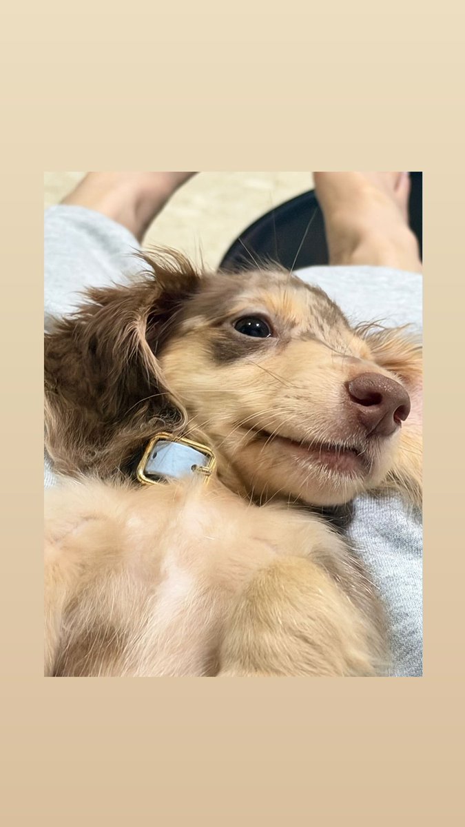 Viewinglove tweet media