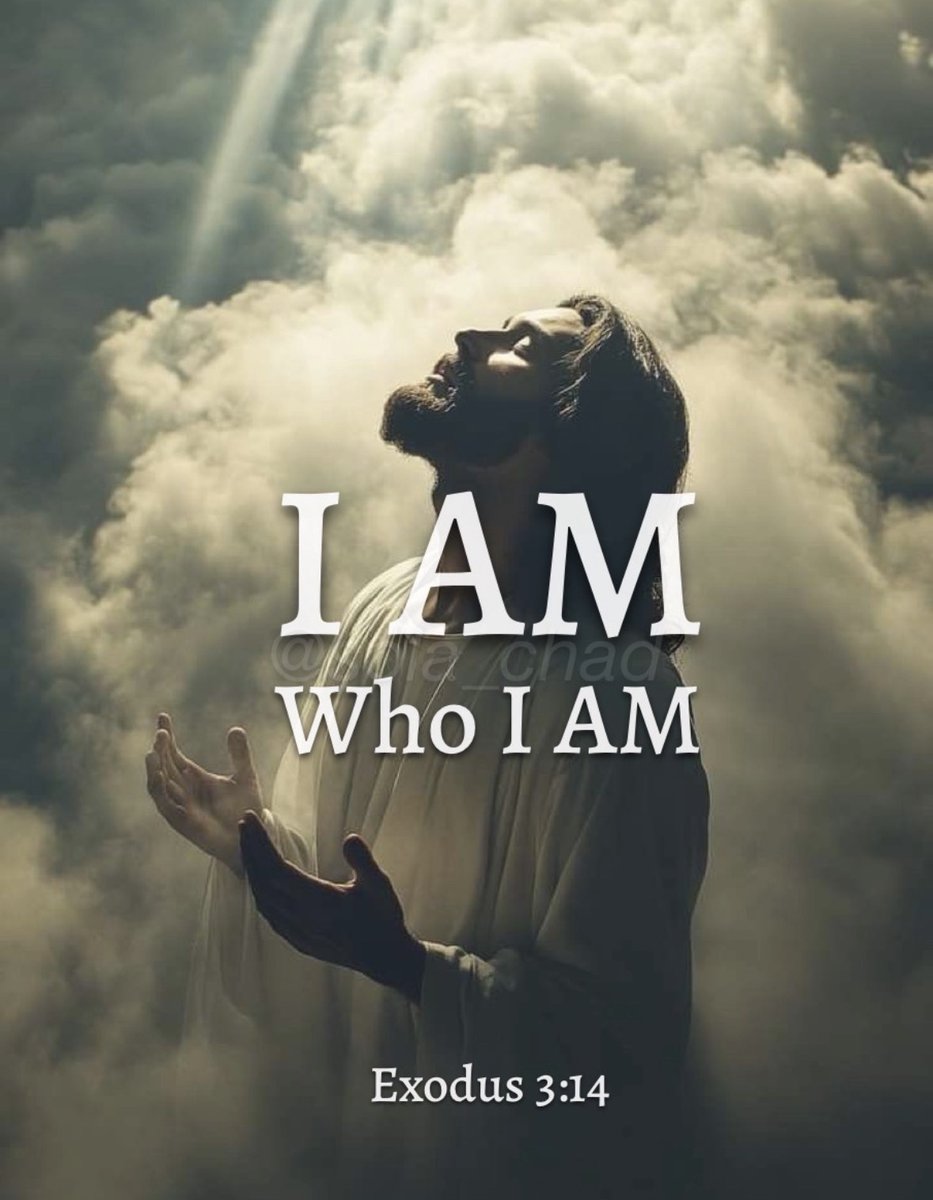 George Jenkins tweet media