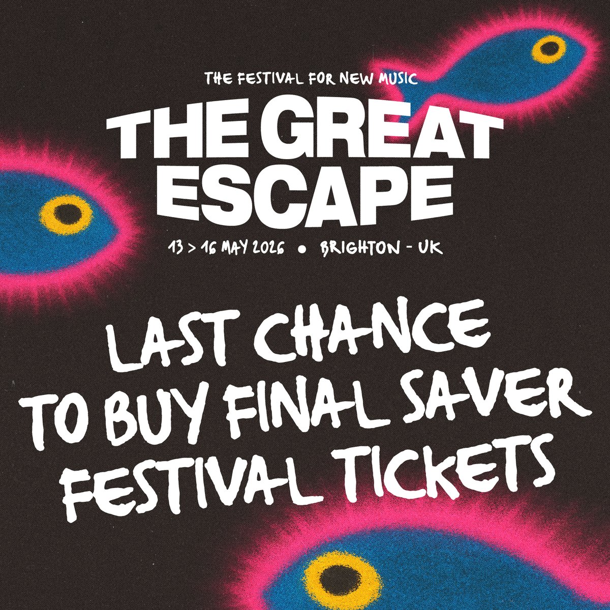 The Great Escape tweet media