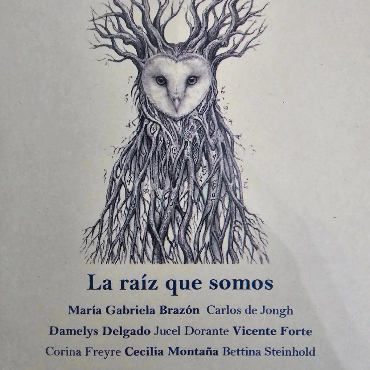 Vicente Forte tweet media