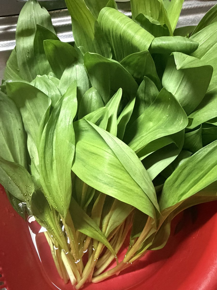 らんど tweet media