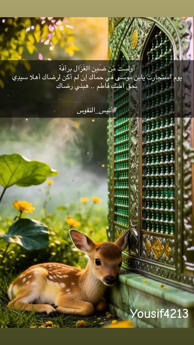 yousif4213's tweet photo. أولستَ مَن ضَمِن الغَزَال برأفَة
يوم استجارت يابن موسى في حماك إن لم أكن لرضاك أهلا سيدِي بحق أختك فاطم .. هبني رضاك

#أنيس_النفوس https://t.co/02LsNu3nsd