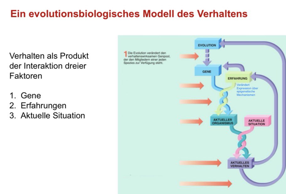 s ☀️ | edtwt tweet media