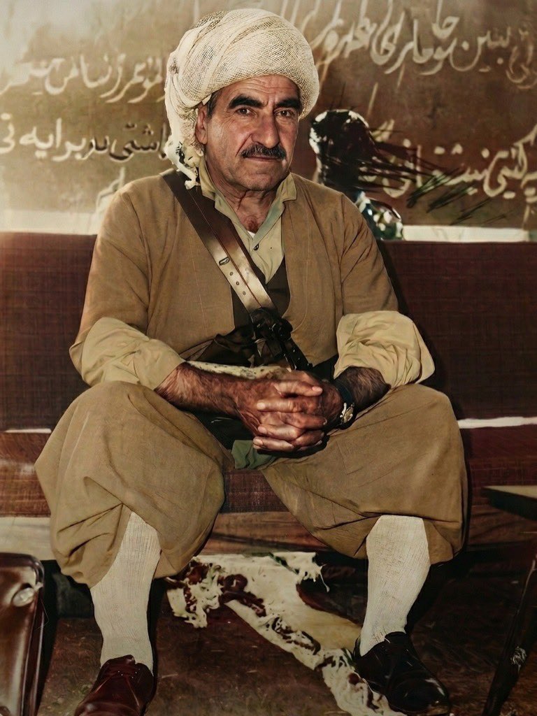 shvanbarzaani's tweet photo. The General of Mountains 👑 https://t.co/R8hfjg8QfZ