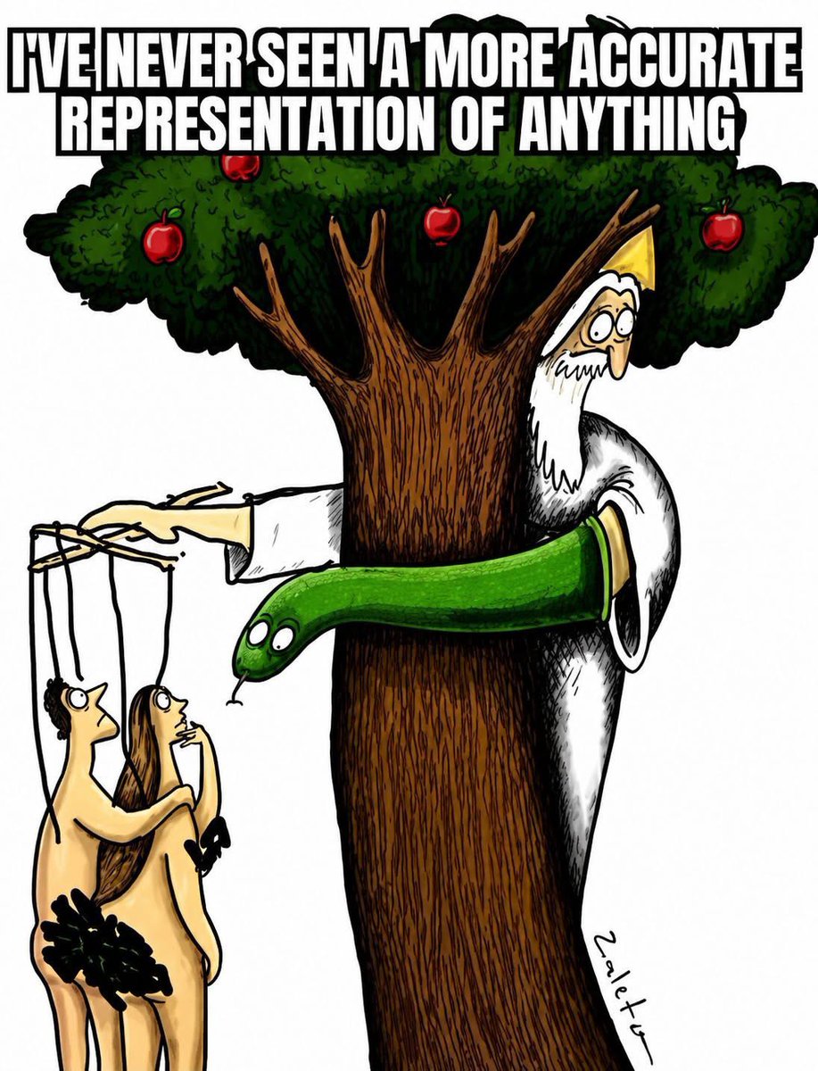 Kelvin O johnson tweet media