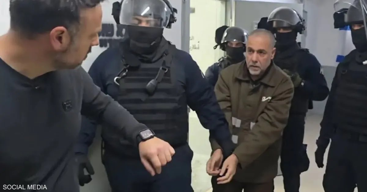 Osama Abu Rabee أسامة أبوربيع tweet media