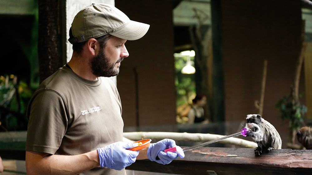 ZSLScience's tweet photo. Hear how ZSL’s experts safeguard animal health and wellbeing, support endangered species recovery, and create environments where animals can thrive. Experience an early‑morning visit to @zsllondonzoo  Penguin Beach #ZSLWildScience podcast🐧🎙️ Listen now: https://t.co/Y9069T3hwa https://t.co/wQstDvQGE3