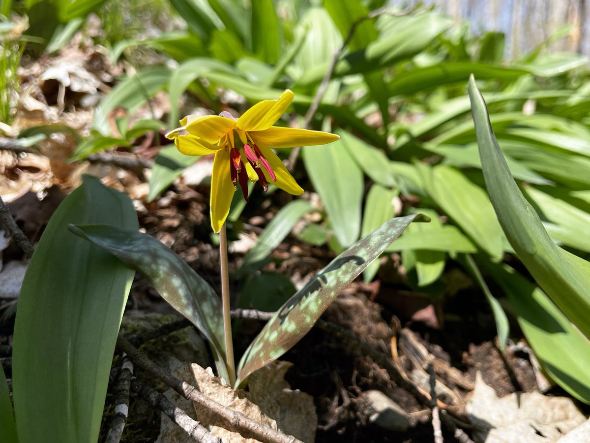 Kuna 🍂 tweet media