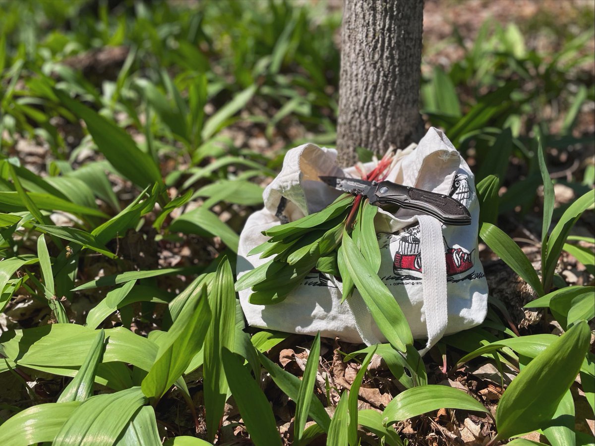 Kuna 🍂 tweet media