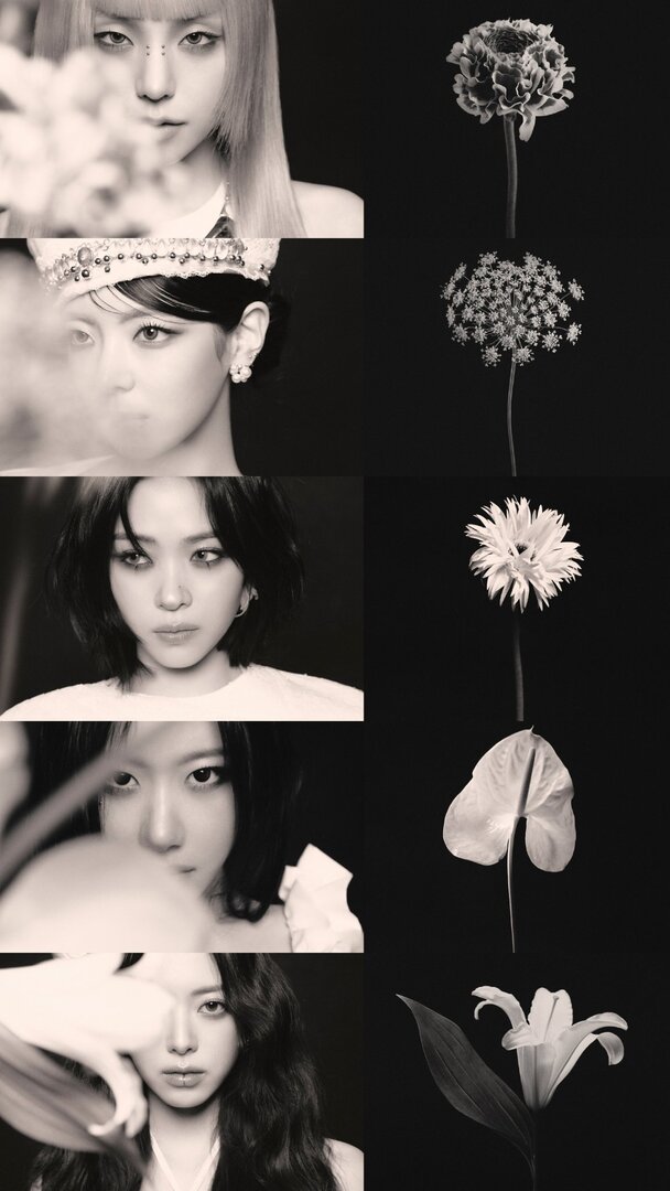 Starfess || CEK PINNED UNTUK KIRIM MENFESS tweet media