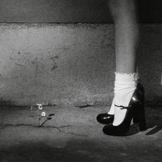 Info Ariana tweet media