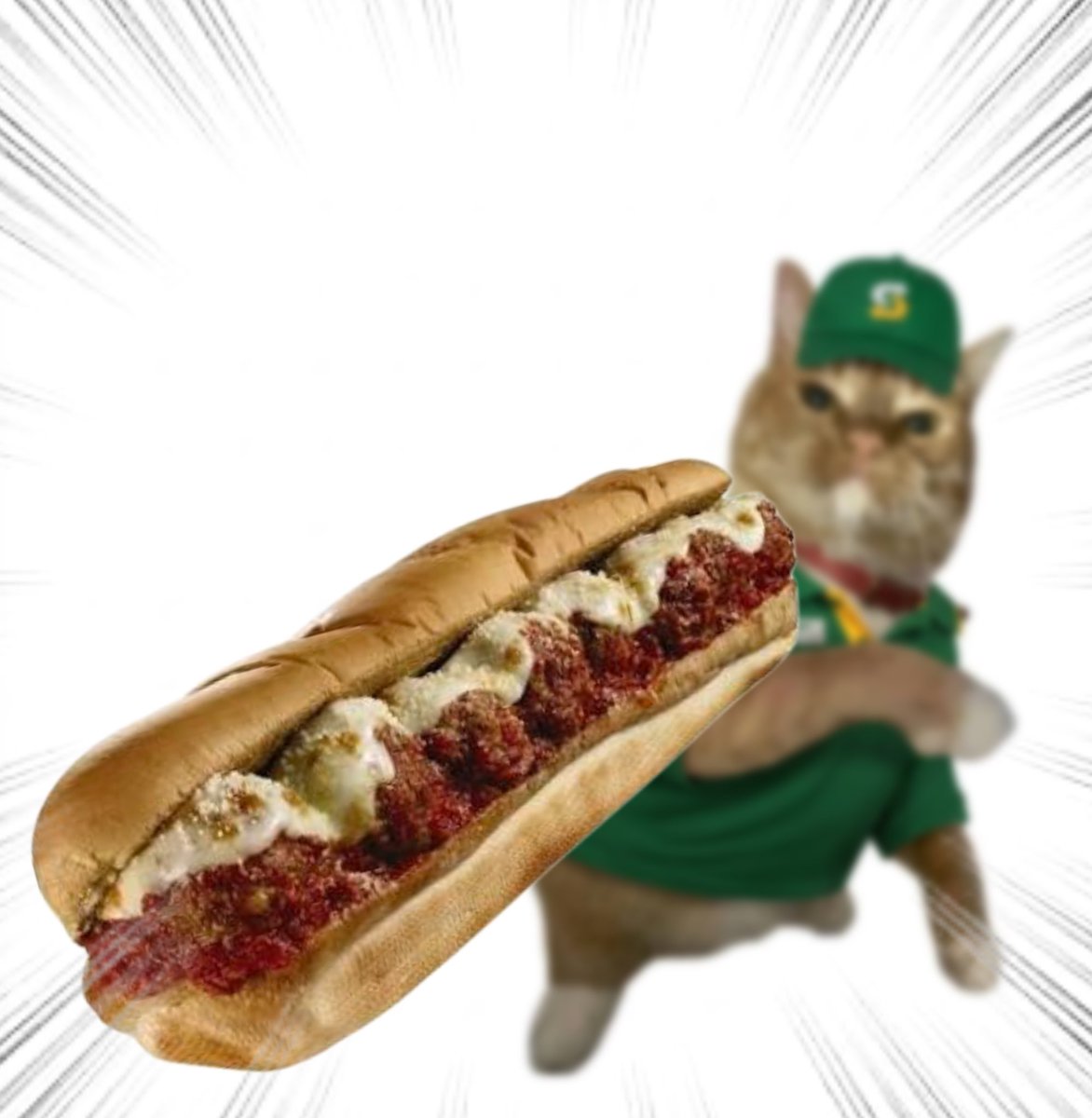 Meatball Sub.
