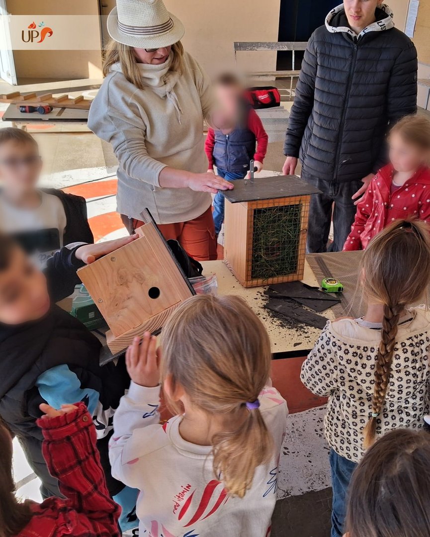 Biodiversitup's tweet photo. Un treillis pour la biodiversité 🌱 Nous revoici à l’école d’Harcourt où on relève les manches des Grandes Sections et des CP pour construire un tout nouvel outil imaginé par notre équipe :  le treillis à biodiversité 💪 https://t.co/WFskPfhrPF