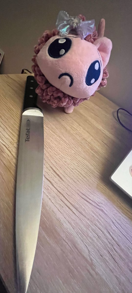 rinn3rin's tweet photo. i gave p-chan a knife to play with https://t.co/Q5lyFdoPDW