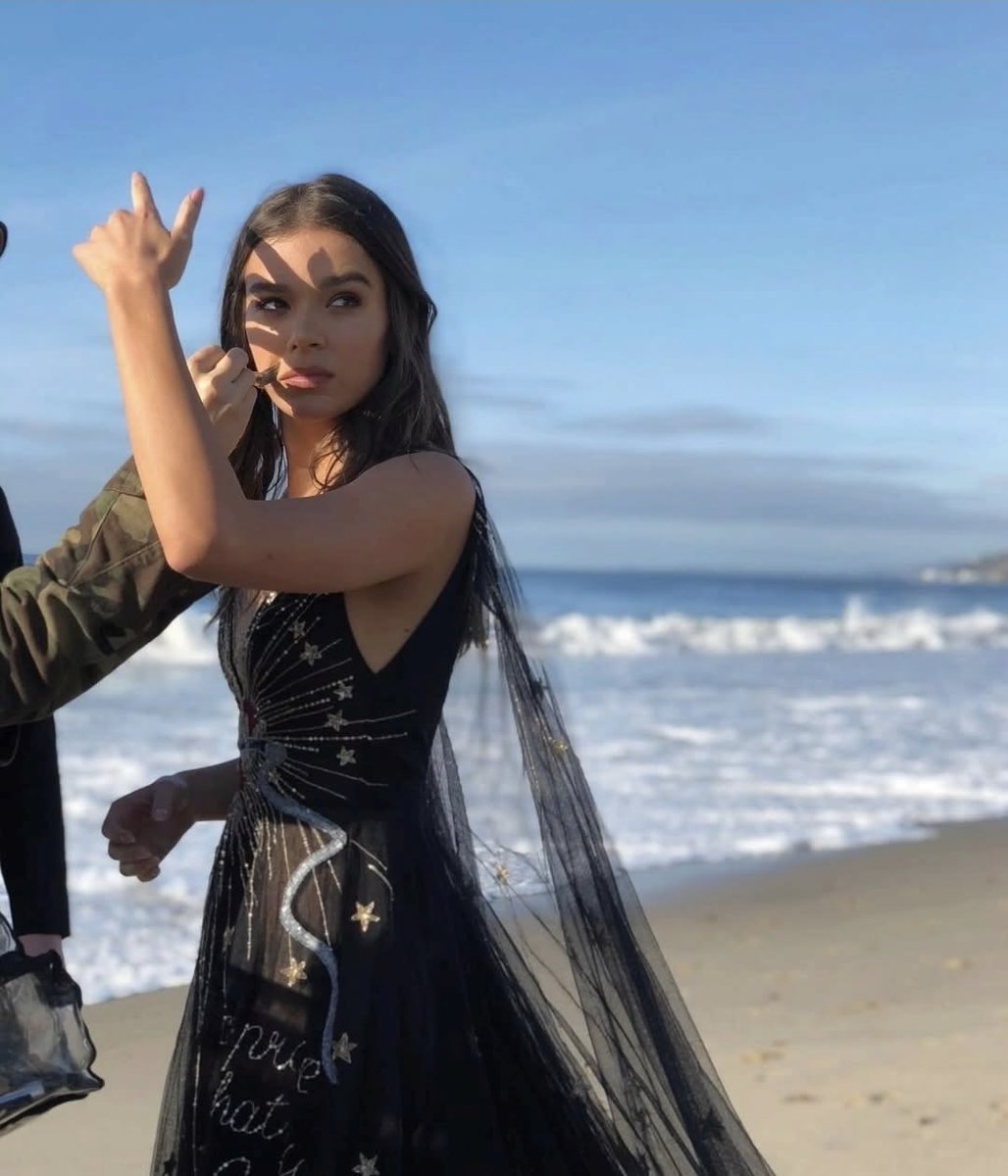 haileesfv2's tweet image. I searched “perfection” on google and this came as result 
#Hailee #haileeSteinfeld #fyp