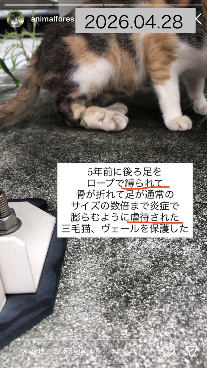 おーぷん tweet media